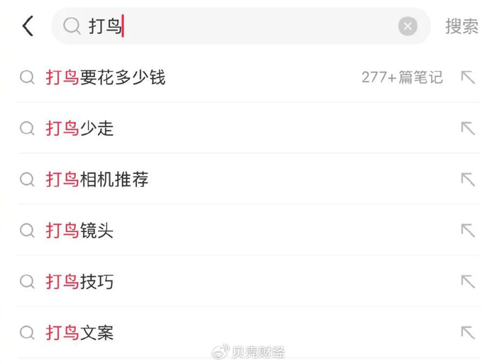 在摄影圈流传着一句话：无论你拍人像、风景还是纪实，最后的终点都指向打鸟。