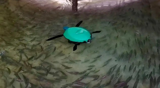 两栖仿生海龟机器人 图片据新华社