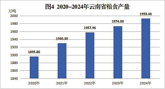 图4 2020—2024年云南省粮食产量
