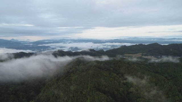 高黎贡山 资料图