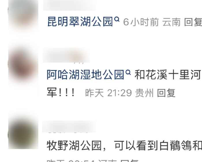 图/小红书