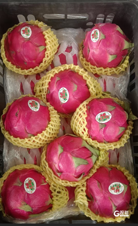 火龙果同样受市场热捧。