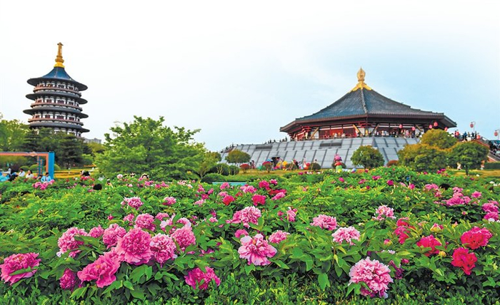 4月4日，游客在隋唐洛阳城国家遗址公园游园赏牡丹。李卫超 摄
