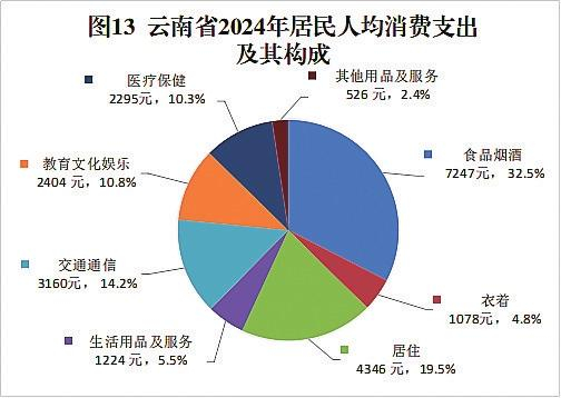 图13 云南省2024年居民人均消费支出及其构成