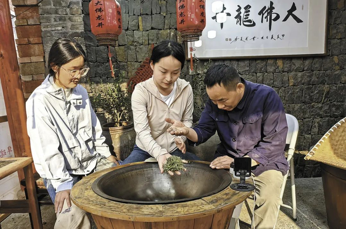浙江绍兴新昌县回山镇，游客在手工炒茶师傅指导下体验炒茶。俞临新 摄