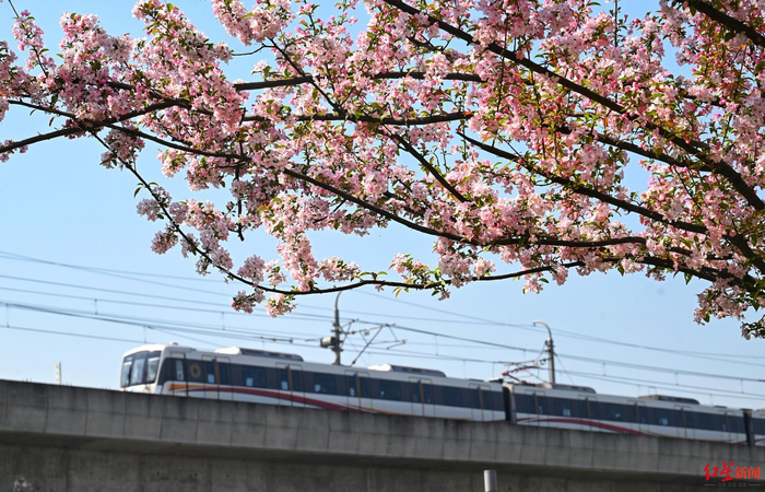 成都地铁10号线。王效/摄
