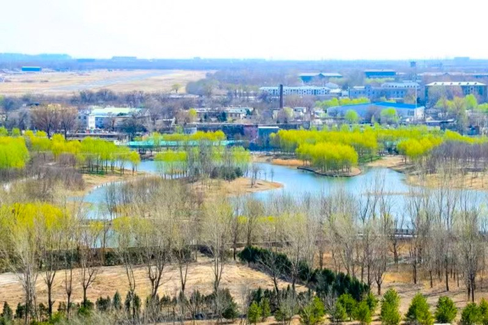 南苑森林湿地公园春意盎然。丰台区委宣传部供图