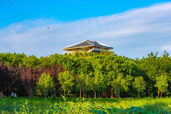 南苑森林湿地公园春意盎然。丰台区融媒体中心供图