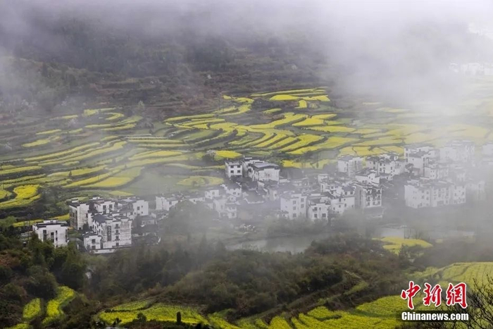  江西上饶婺源县江岭景区，雨中的油菜花及徽派建筑。图/视觉中国