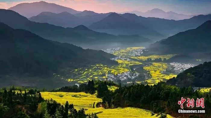  婺源油菜花盛开。图源：上饶文旅