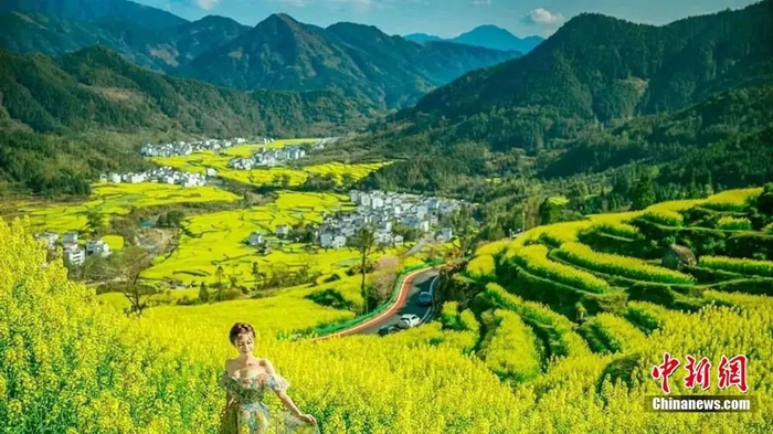  >婺源油菜花盛开。图源：上饶文旅