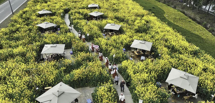 四川成都新津区，游客在天府农博园油菜花田中赏美景、吃火锅。刘杰 摄