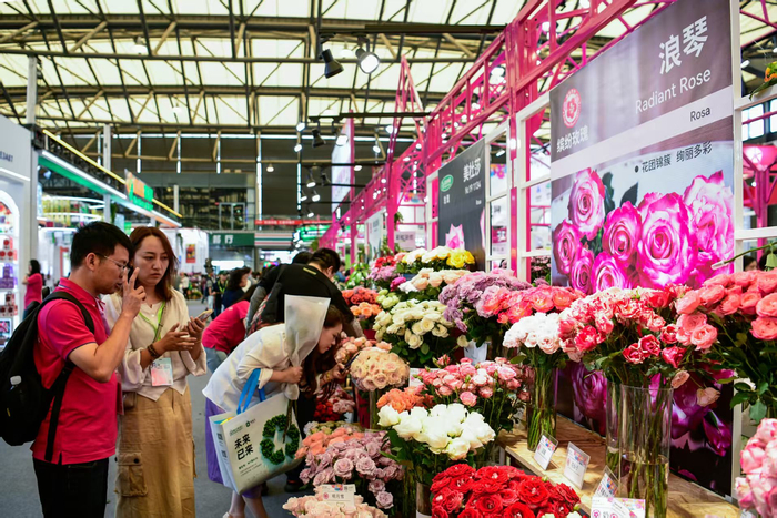 “浪琴” 玫瑰吸引众多观众驻足，颜筱依摄