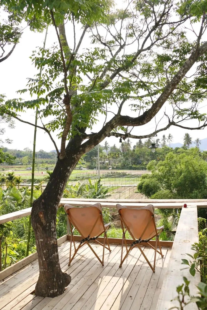 “漫时间咖啡”。图源悠游天涯