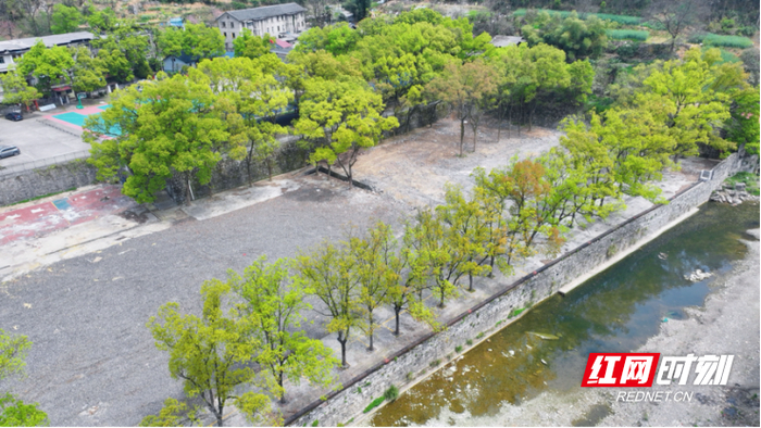 建设中的副球场，与主球场一河之隔。