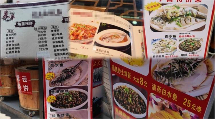 不同店铺的白水鱼价格差距明显