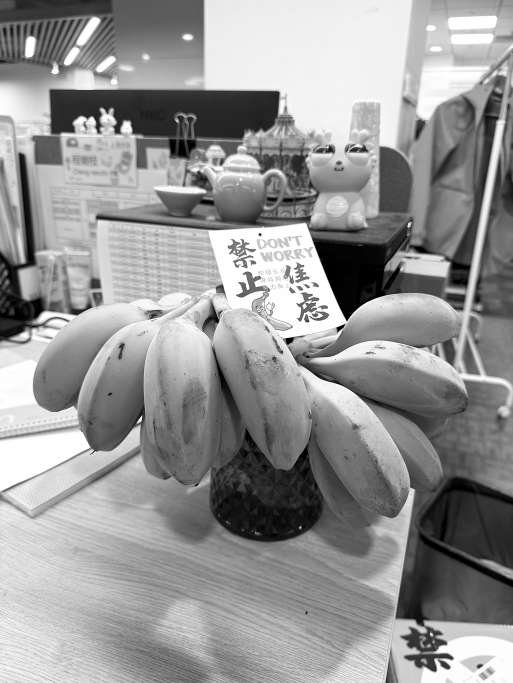 水培香蕉 视觉中国供图