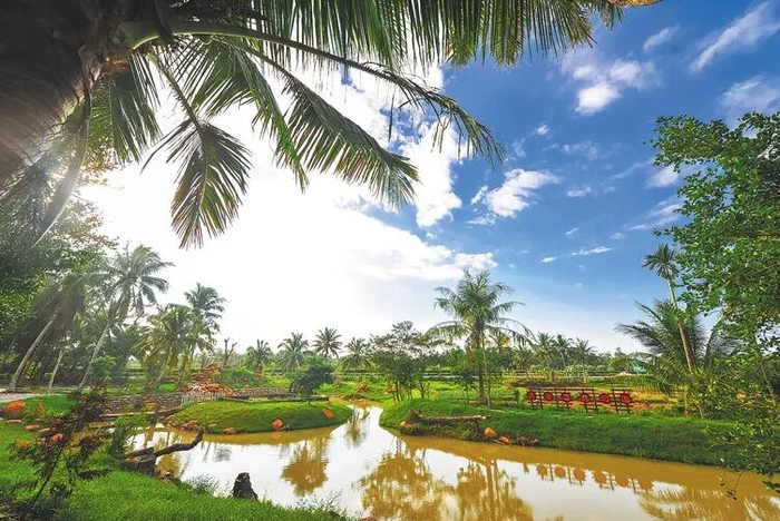 夕阳下的文昌大庙村格外美丽。海南日报记者 袁琛 摄