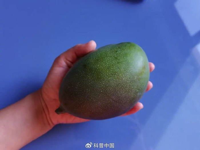 图：凯特芒 作者拍摄