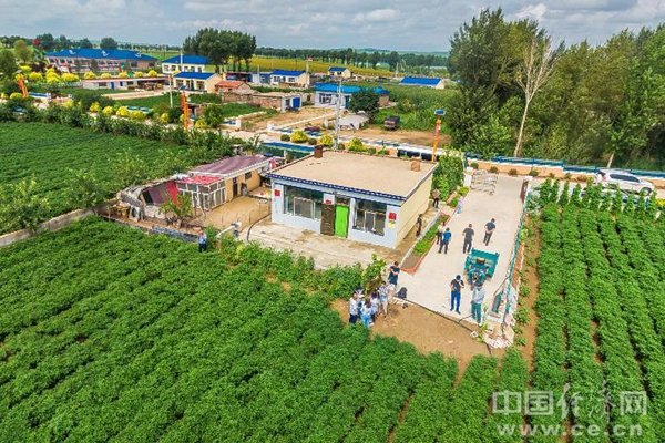 资料图（中国经济网 董家朋/摄）