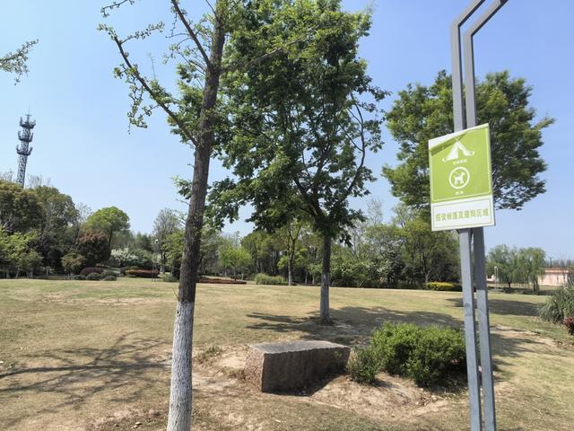 图为南大公园内的一块允许露营的草坪。