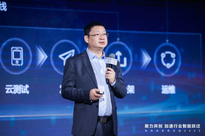 华为云PaaS服务产品部部长徐峰