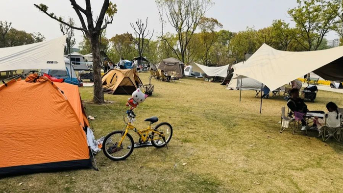 风绳如蛛网般交织无处下脚