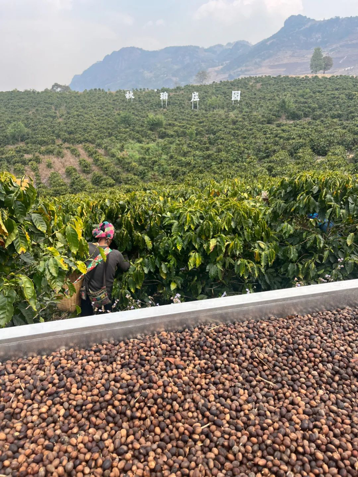 临沧市委宣传部 供图