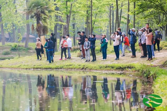 观鸟大赛现场。 图片来源：上海市林业总站