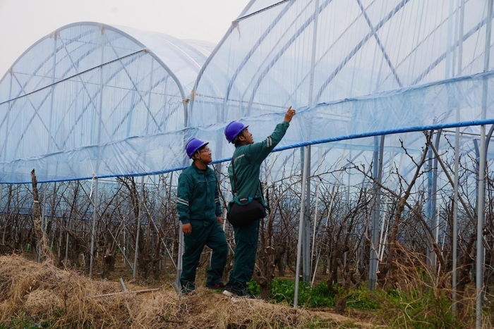 国网滨州供电公司工作人员对线路通道内可能存在的风险隐患进行排查