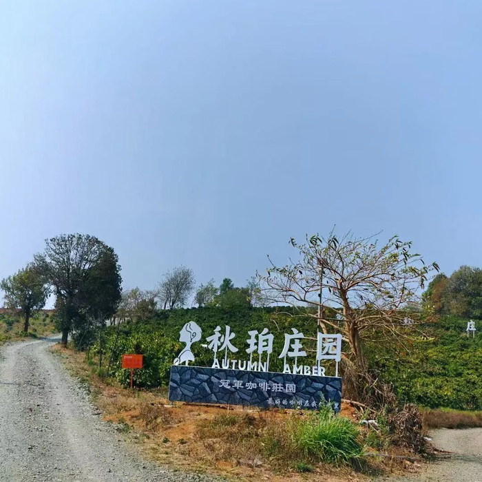 临沧市委宣传部 供图