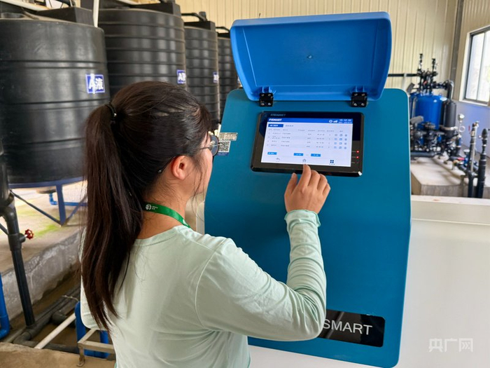 蓝莓基地工作人员演示水肥一体机灌溉（央广网记者  罗世伟  摄）