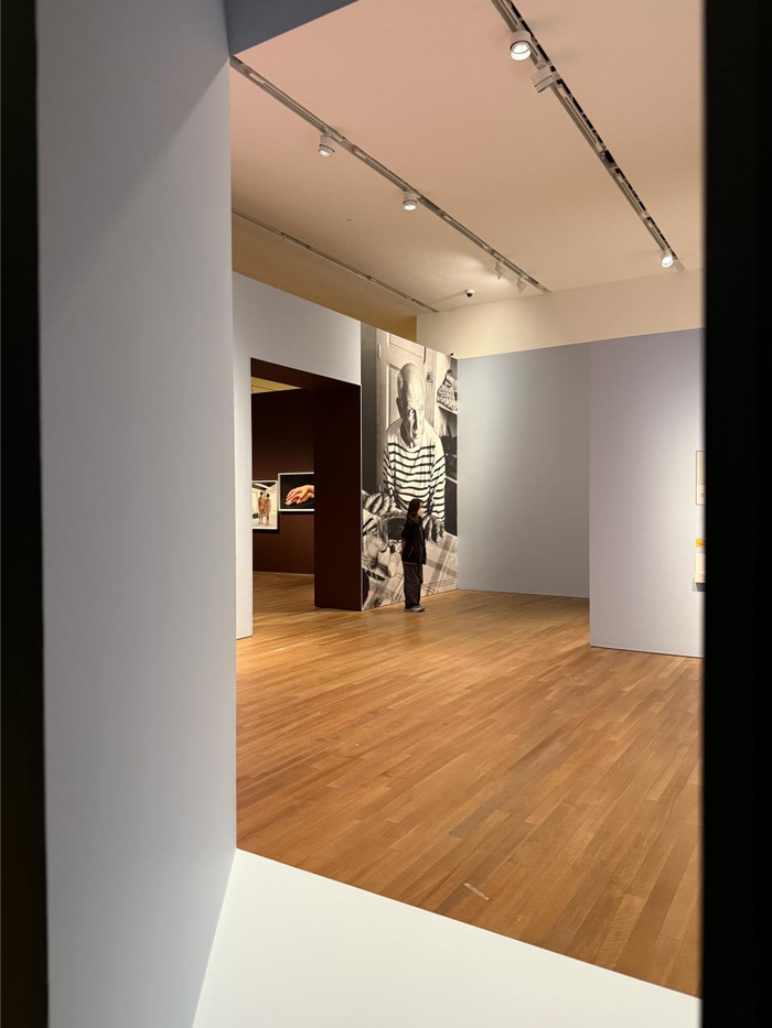 图为M+“毕加索——与亚洲对话”特展。（林迎楠  摄）