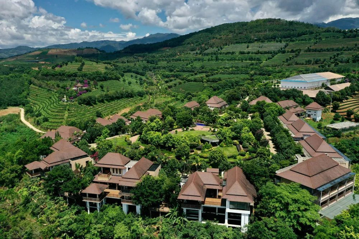 临沧市委宣传部 供图