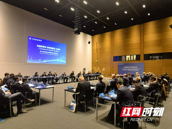 湖南-德国经贸合作交流座谈会现场。宁乡经开区供图。