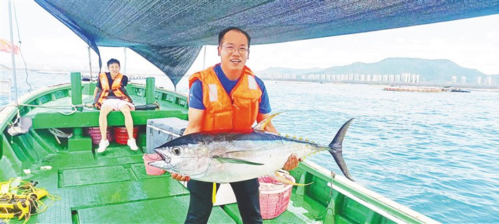 　陵水黄鳍金枪鱼。海南日报全媒体记者 王迎春 通讯员 马振华 摄