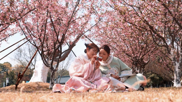 游客们在游玩赏花。      王子杰 摄