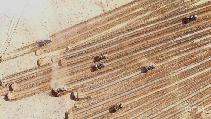 民丰县推土机正在推平沙丘 （央广网发 刘少鹏 摄）