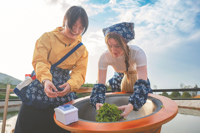 四月九日，在芜湖市繁昌区孙村镇梅冲村白茶种植基地，安徽师范大学留学生在体验炒茶。视觉中国供图