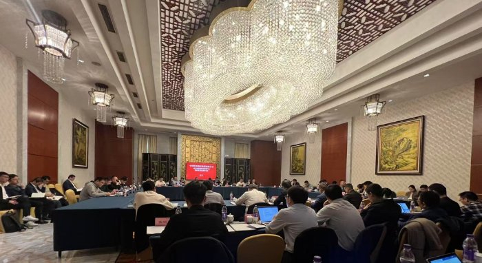 中咨管理顾问公司项目团队就资源循环项目组织交流研讨