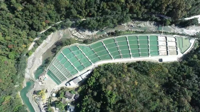 绵阳市平武县土城乡虹鳟养殖基地。 受访者供图