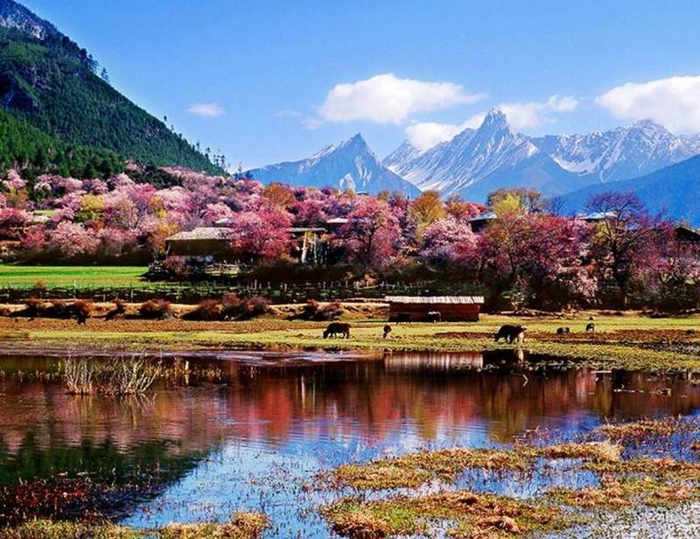 错高村风光 供图 工布江达县委宣传部