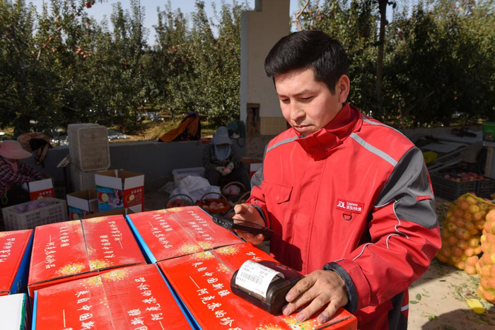 2024年10月，在新疆阿克苏地区，快递员在打印苹果线上销售的订单。新华社记者高晗 摄