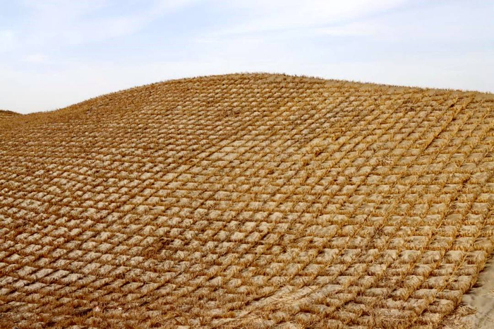 草方格沙障。李朝阳 摄