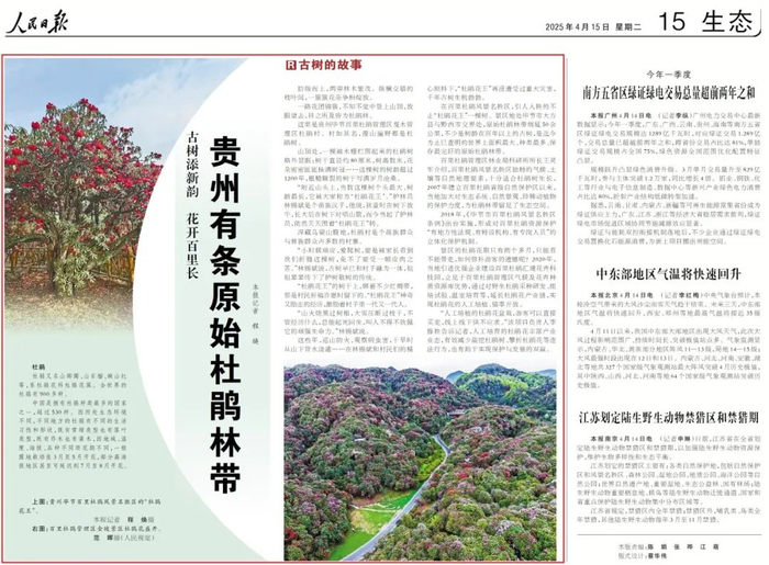 报道来源：《人民日报》2025.4.15 第15版