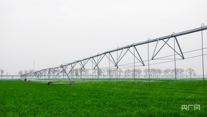 双翼式平移自行喷灌机在进行喷灌作业（央广网记者  郝振青  摄）