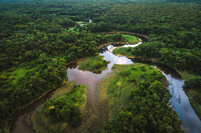 亚马孙雨林