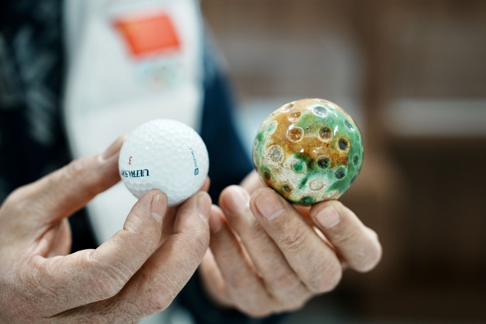 平顶山出土捶丸（右）酷似高尔夫球。本报记者 张文豪摄