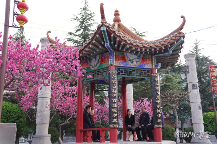 侯二河与村两委干部一起交流。长城网·冀云客户端记者 孟维仑 摄