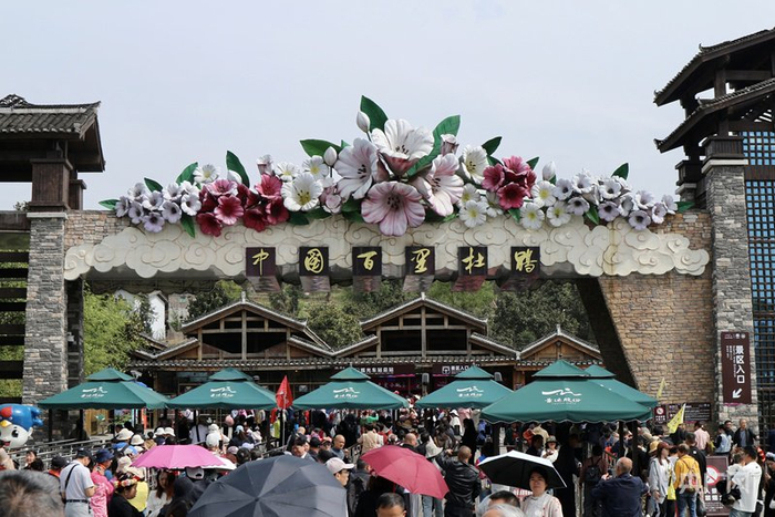 百里杜鹃景区人头攒动（央广网发  吴家宝  摄）